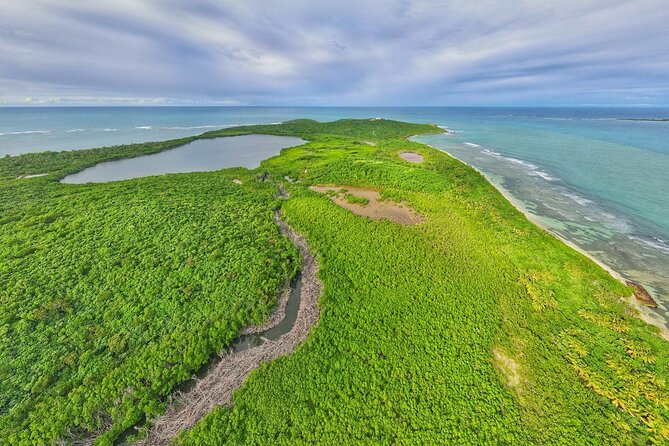 Full-Day Tour: El Yunque, Luquillo Beach, Bio Bay Night Kayaking - What $155 buys you