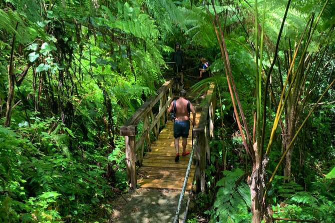 Full-Day Tour: El Yunque, Luquillo Beach, Bio Bay Night Kayaking - La Coca Falls gives you a quick first look