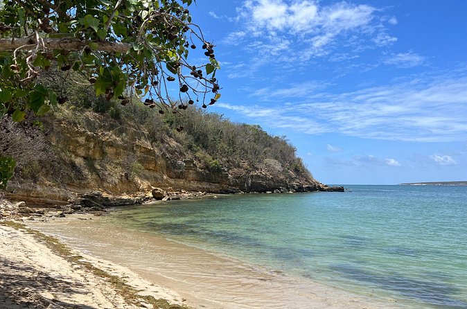 Full Day Vamos Pa la Isla Southwest Experience - The real cost: $300 for a very long day