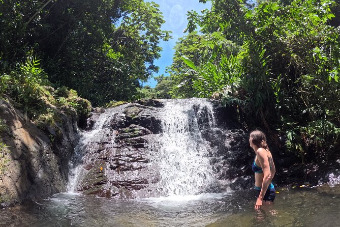 Full Day Waterfalls of Puerto Rico: Central Mountains Escape - Puerto Rican coffee at FinCafé