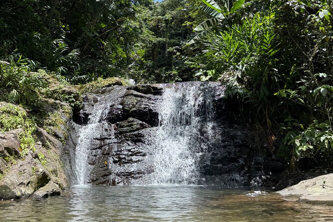 Full Day Waterfalls of Puerto Rico: Central Mountains Escape - Swimming at Cascada Las Delicias
