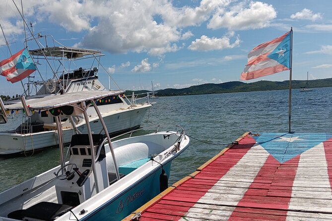 Full Day West Coast Adventure in Puerto Rico - Guajataca Lookout and the Atlantic Coast