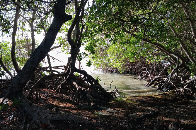 Full Day West Coast Adventure in Puerto Rico - Is $200 a Fair Price?