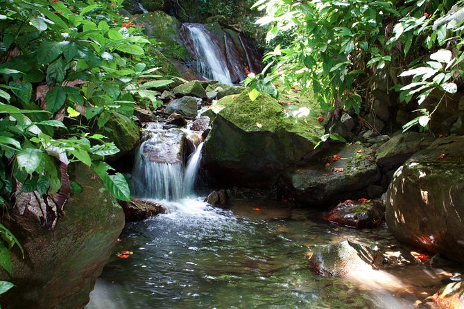 Full-Day Zipline and Waterfall Rappelling Adventure Near San Juan - Ziplines Through the Forest