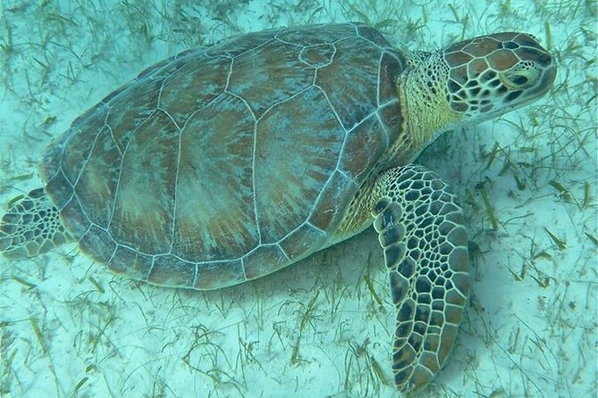Get SCUBA Certified at San Juan - What is included, and what still costs extra