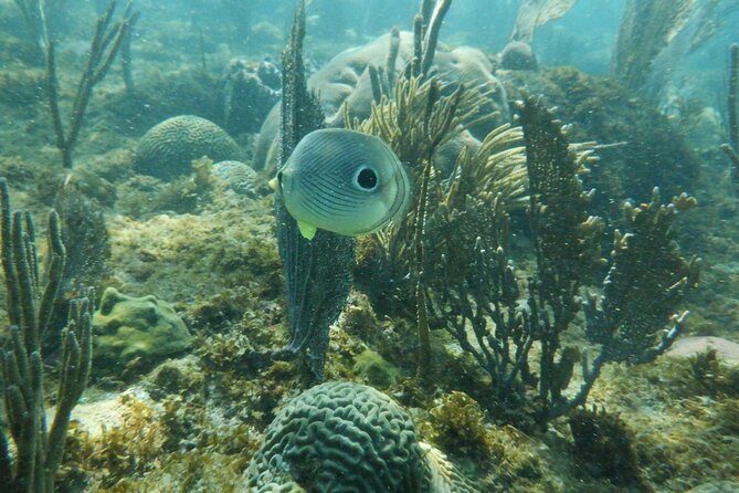 Guided Shore Diving Tour - How beginner-friendly is the tour?