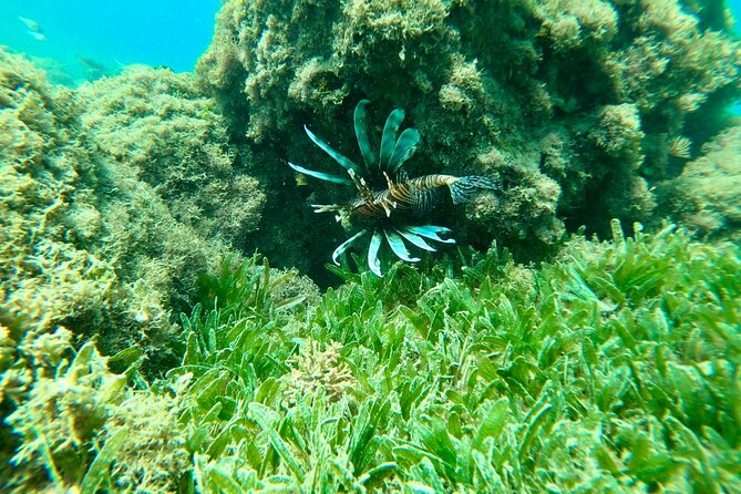 Guided Snorkeling adventure in San Juan - What the $76.70 Price Includes