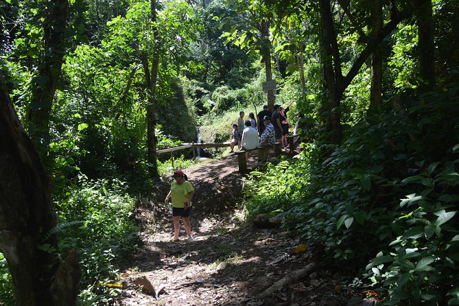 Half-Day Center of Puerto Rico Cultural Tour - The mountain viewpoint and the best scenery of the day
