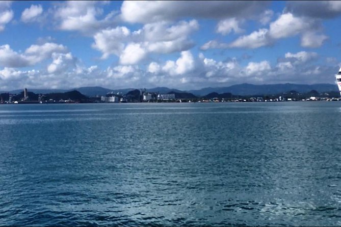 Half-Day Center of Puerto Rico Cultural Tour - Who will enjoy this tour most?