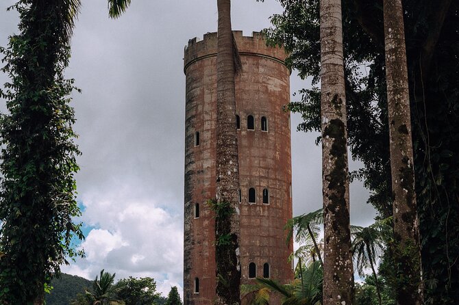 Half-Day El Yunque National Forest Tour from San Juan - What this five-hour El Yunque trip really offers