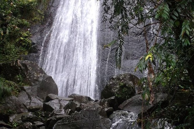 Half-Day El Yunque National Forest Tour from San Juan - Yokahu Tower and the eastern coast below