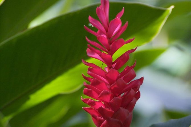Half-Day El Yunque National Forest Tour from San Juan - Is $100 a fair price from San Juan?
