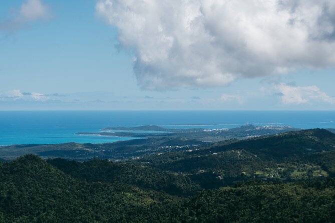 Half-Day El Yunque National Forest Tour from San Juan - Rain, masks, timing, and other practical details