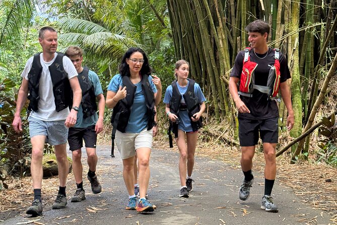 Half Day El Yunque Tour, Waterslide and Rope Swing - What the $39 price really includes