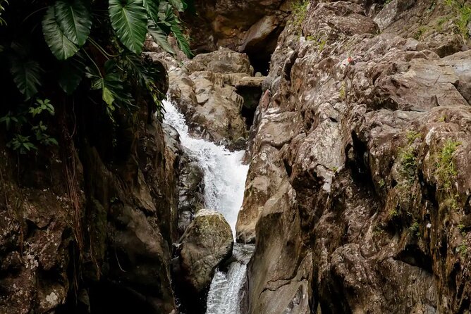 Half-Day El Yunque Waterslide Excursion (no Transportation) - Is the low price good value?