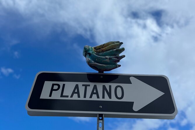 Half-Day: Old San Juan, Calle Cerra,Santurce, La Placita & Loíza - Is $200 per person a fair price?