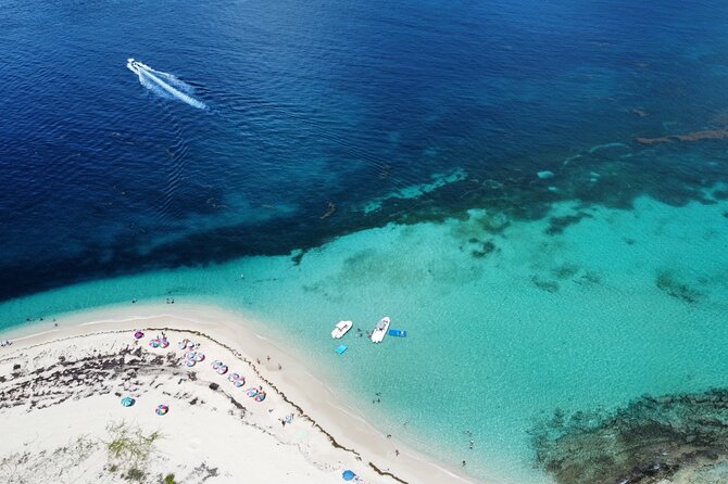 Half-Day Private Boat Experience – Appetizers & Drinks Included - What makes night snorkeling different