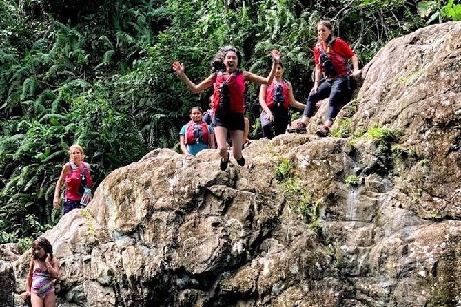 Half-Day: Rainforest and Waterslide Adventure with Transportation - The natural slide, rope swing, and rock jumps