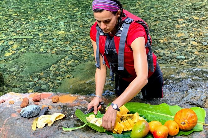 Half-Day: Rainforest and Waterslide Adventure with Transportation - What is included for $105
