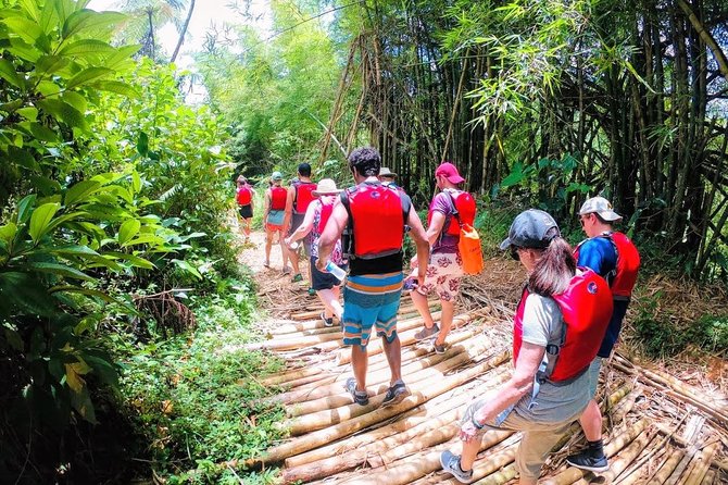 Half-Day: Rainforest and Waterslide Adventure with Transportation - Who will enjoy this most?