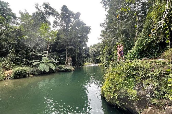 Half-Day Rainforest Tour with Transport from San Juan - Why this four-hour El Yunque trip works