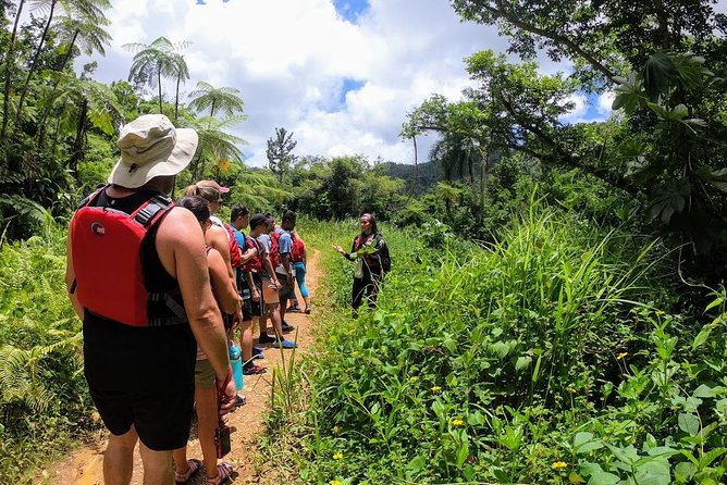 Half-Day Tour: El Yunque Rainforest and Waterslide Adventure - Key points to know before you book