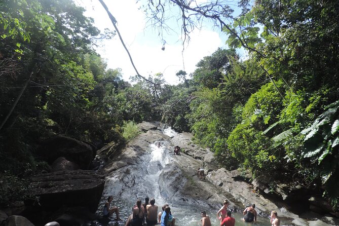 Half-Day Tour: El Yunque, Waterslides, and Luquillo Beach - Who should book this outing?