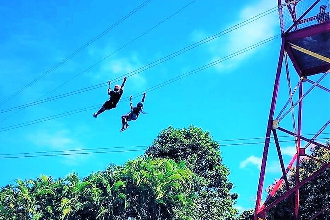 Half Day Tour in Rainforest Zipline Park with Transportation - Flying above the forest near Luquillo