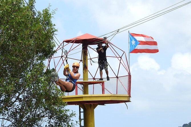Half Day Tour in Rainforest Zipline Park with Transportation - What the half-day schedule really includes