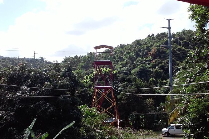 Half Day Tour in Rainforest Zipline Park with Transportation - Why the transportation can be worth the price