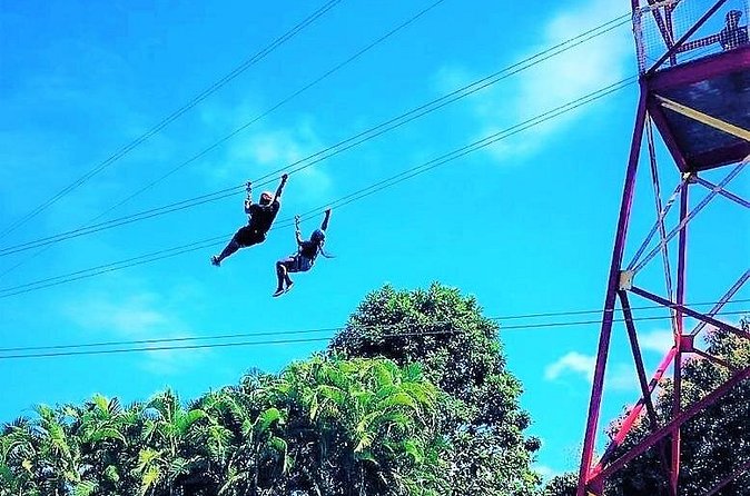 Half Day Tour in Rainforest Zipline Park with Transportation - Guides who help first-timers relax