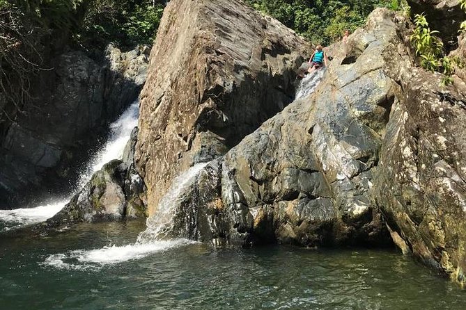 Half-Day Yunque Rainforest Waterslide & rope swing Guided Tour - Key points at a glance