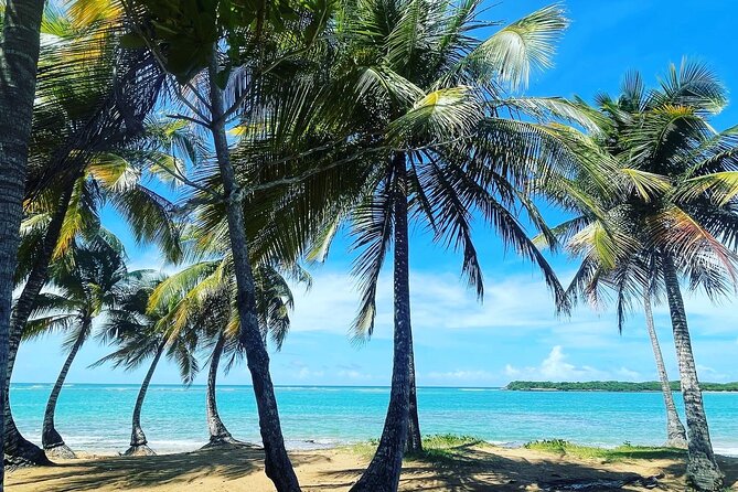 Hidden Fresh Spring of Water+ Cave+ Beach & Food Full Day Tour - Key points to know before booking