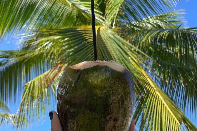 Hidden Fresh Spring of Water+ Cave+ Beach & Food Full Day Tour - Manantial de Guayaney: a forest spring with a short walk