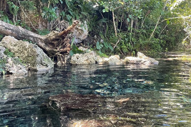 Hidden Fresh Spring of Water+ Cave+ Beach & Food Full Day Tour - Snorkeling, fish, and realistic expectations