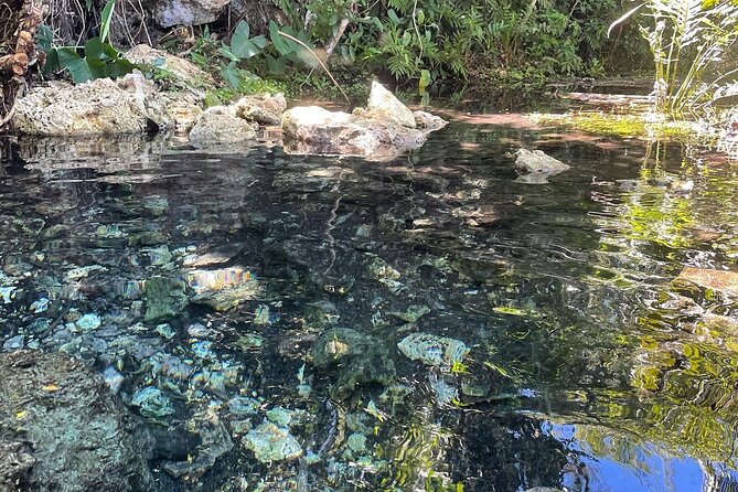 Hidden Fresh Spring of Water+ Cave+ Beach & Food Full Day Tour - Food, snacks, and the real cost of the day