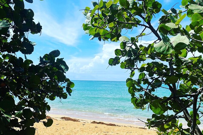 Hidden Fresh Spring of Water+ Cave+ Beach & Food Full Day Tour - The 8:30 a.m. start from San Juan