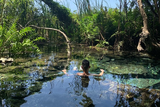 Hidden Gems of the North, Puerto Rico Private Tour - Key points at a glance