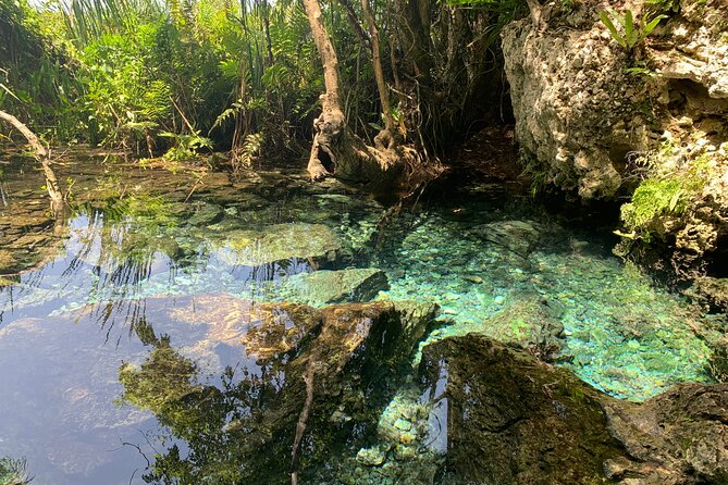 Hidden Gems of the North, Puerto Rico Private Tour - What the $199 Price Really Buys