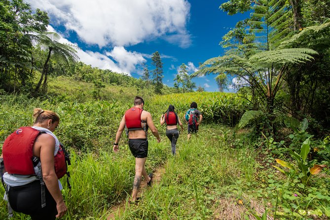 Hike El Yunque Rainforest and Kayak Bio Bay Combo Tour - Key points to know before booking