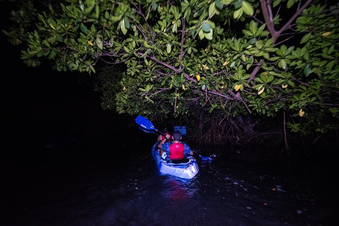 Hike El Yunque Rainforest and Kayak Bio Bay Combo Tour - A full day from San Juan to glowing Laguna Grande