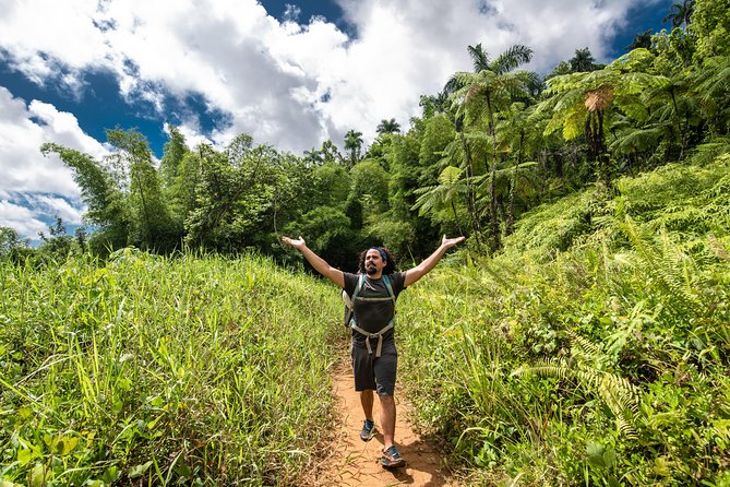 Hike El Yunque Rainforest and Kayak Bio Bay Combo Tour - The price makes sense for the right kind of day