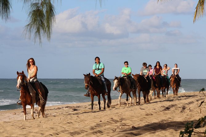 Horseback Riding through Secluded Beaches and Tropical Forests - From the Isabela meeting point to the coast