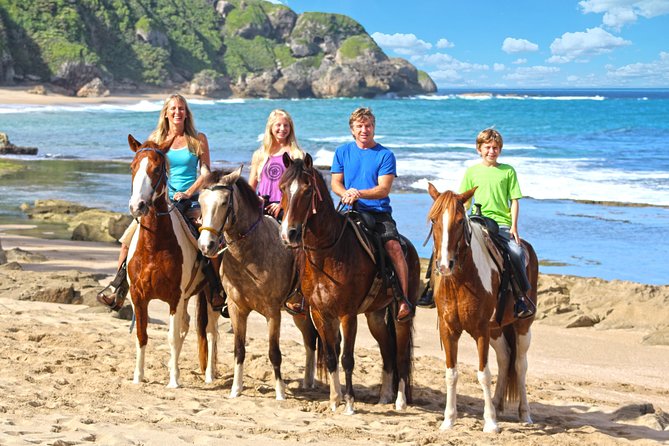 Horseback Riding through Secluded Beaches and Tropical Forests - Meeting the horses and learning the basics