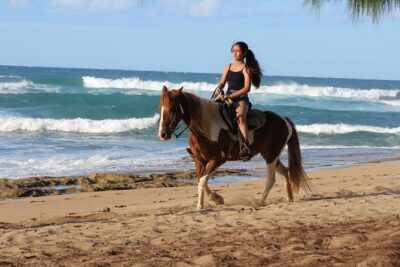 Horseback Riding through Secluded Beaches and Tropical Forests