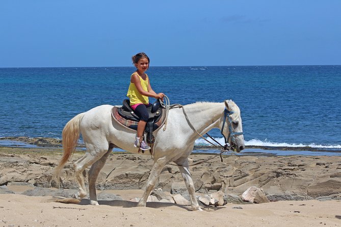 Horseback Riding through Secluded Beaches and Tropical Forests - Guides make the difference