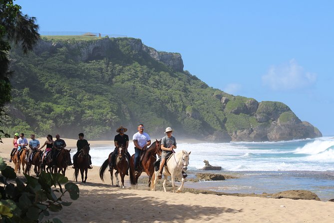 Horseback Riding through Secluded Beaches and Tropical Forests - Is $106.95 a fair price?