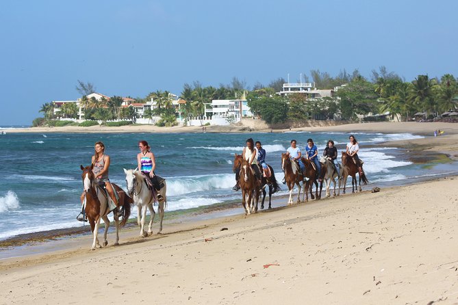 Horseback Riding through Secluded Beaches and Tropical Forests - What to wear and carry
