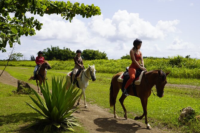 Horseback Riding Tour at Private Ranch - A Private Ranch Ride Near San Juan
