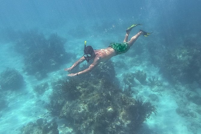 Icacos Deserted Island Catamaran, Snorkel, and Picnic Cruise - Snorkeling near Icacos